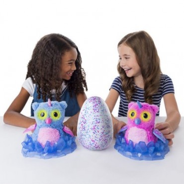 Hatchimals Pink/Blue Egg - One of Two Magical Creatures Inside