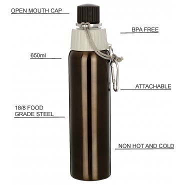 H2O Stainless Steel Water Bottle 650ml SB166