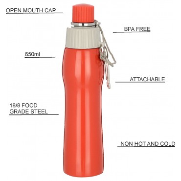 H2O Stainless Steel Water Bottle 650ml SB167