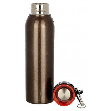 H2O Stainless Steel Water Bottle 550ml SB506