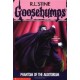 Phantom Of The Auditorium (Goosebumps-24)