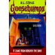 It Came From Beneath The Sink (Goosebumps-30)